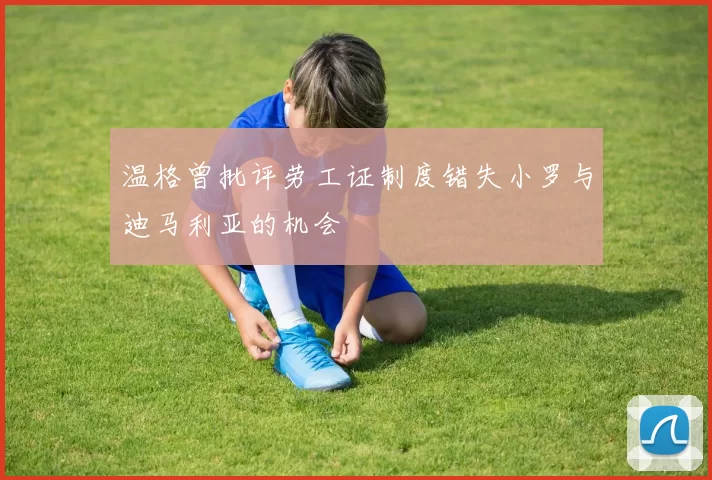 温格曾批评劳工证制度错失小罗与迪马利亚的机会